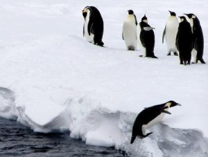 Resolução e escalas de cores